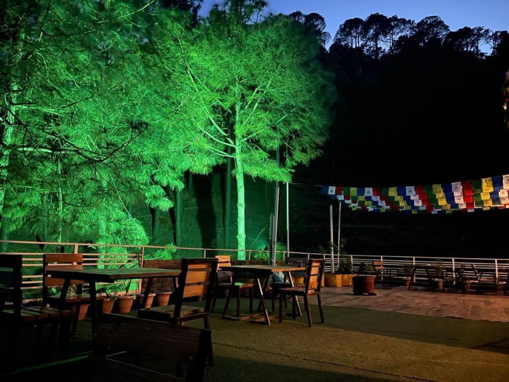 カソーリ Hillcrest Heights Bed & Breakfast エクステリア 写真